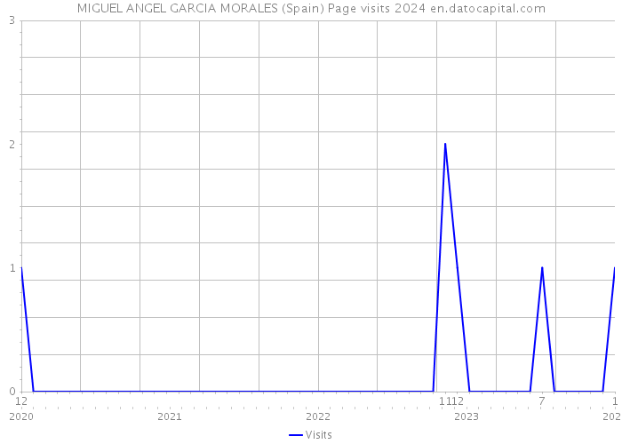 MIGUEL ANGEL GARCIA MORALES (Spain) Page visits 2024 