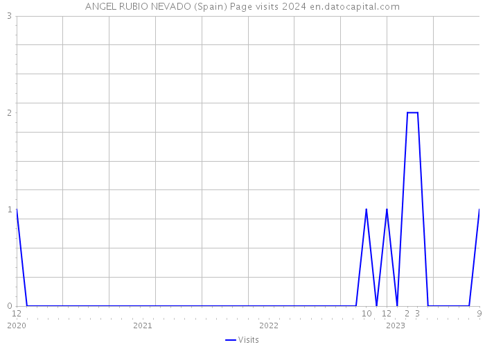 ANGEL RUBIO NEVADO (Spain) Page visits 2024 