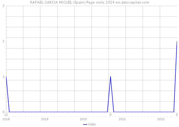 RAFAEL GARCIA MIGUEL (Spain) Page visits 2024 