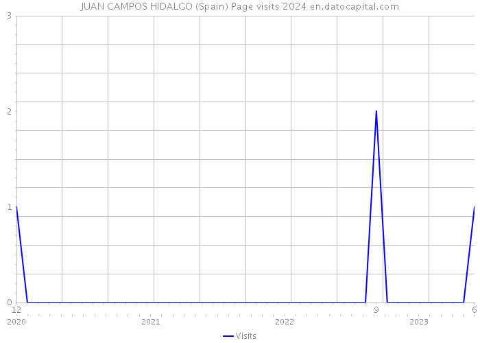 JUAN CAMPOS HIDALGO (Spain) Page visits 2024 