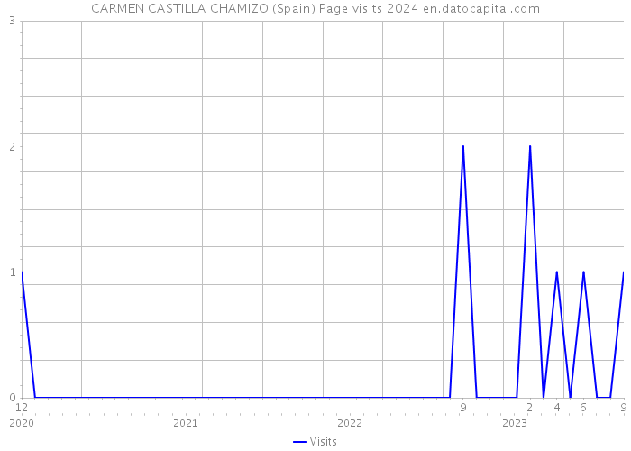 CARMEN CASTILLA CHAMIZO (Spain) Page visits 2024 
