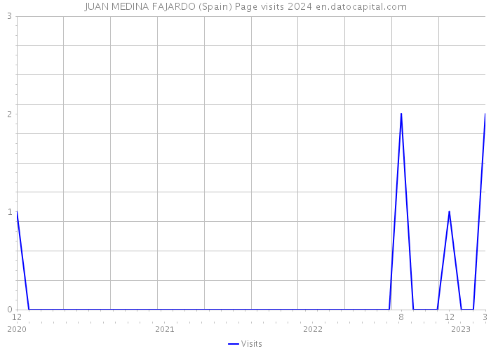 JUAN MEDINA FAJARDO (Spain) Page visits 2024 