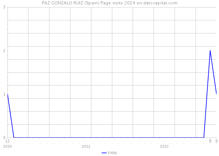 PAZ GONZALO RUIZ (Spain) Page visits 2024 