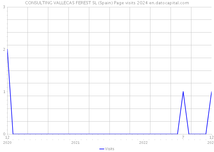 CONSULTING VALLECAS FEREST SL (Spain) Page visits 2024 