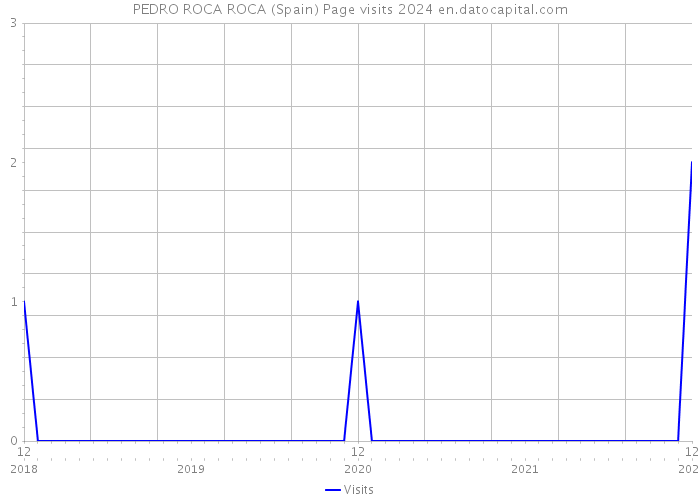PEDRO ROCA ROCA (Spain) Page visits 2024 
