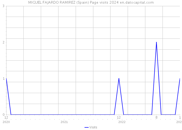 MIGUEL FAJARDO RAMIREZ (Spain) Page visits 2024 