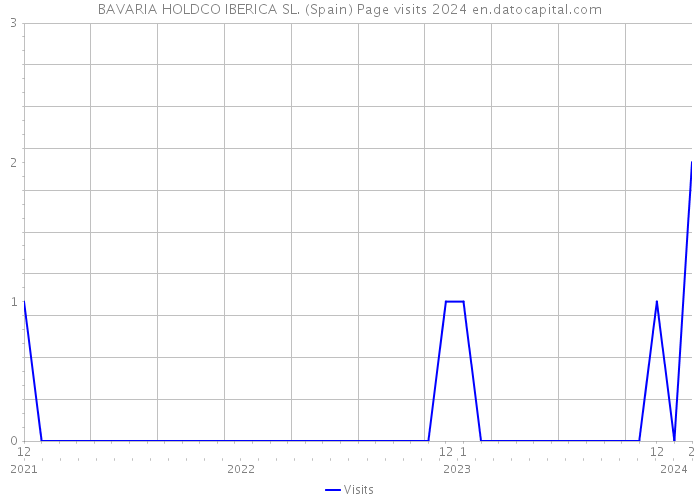 BAVARIA HOLDCO IBERICA SL. (Spain) Page visits 2024 