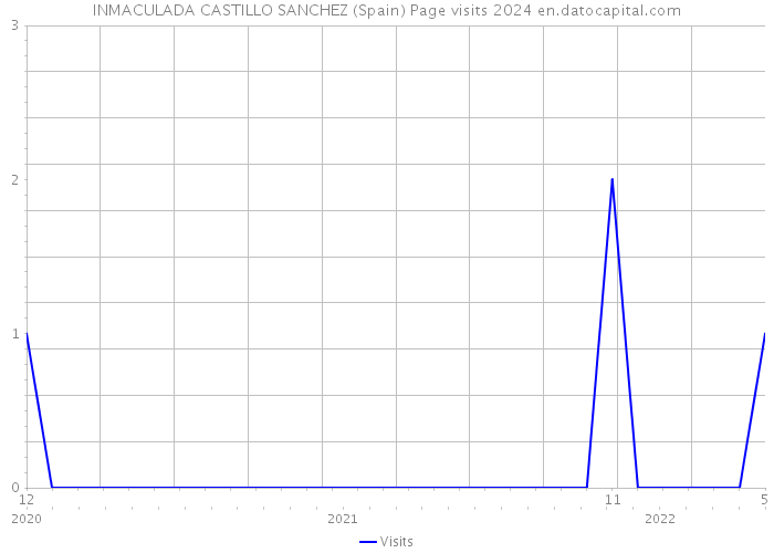 INMACULADA CASTILLO SANCHEZ (Spain) Page visits 2024 