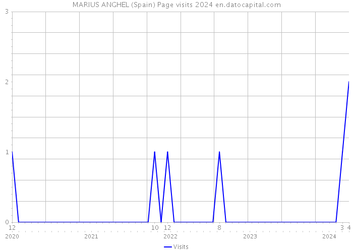 MARIUS ANGHEL (Spain) Page visits 2024 