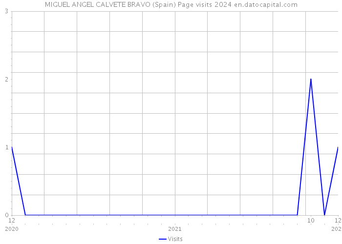 MIGUEL ANGEL CALVETE BRAVO (Spain) Page visits 2024 