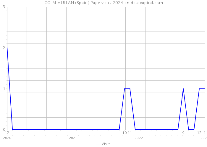 COLM MULLAN (Spain) Page visits 2024 