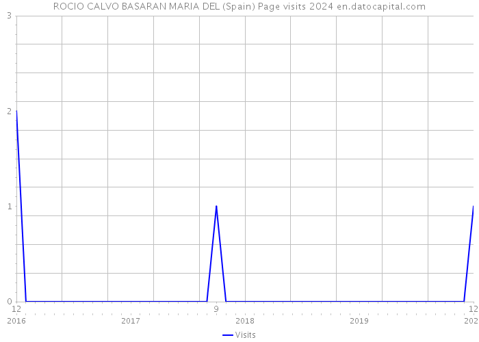 ROCIO CALVO BASARAN MARIA DEL (Spain) Page visits 2024 