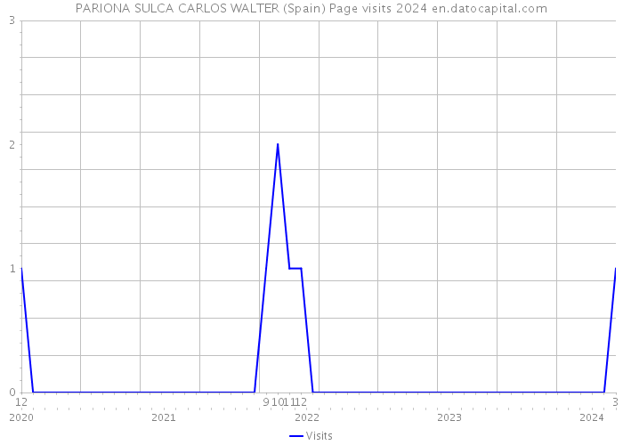 PARIONA SULCA CARLOS WALTER (Spain) Page visits 2024 