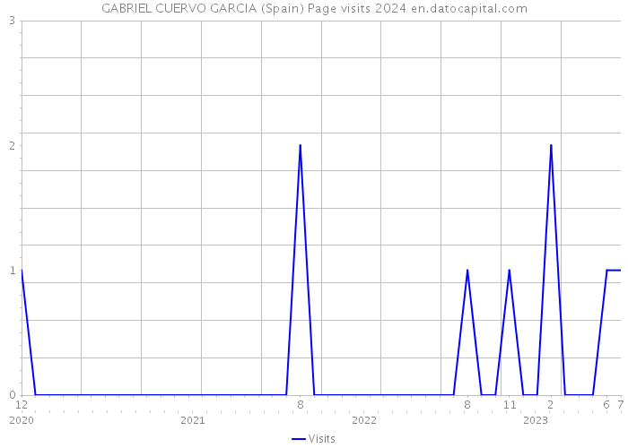 GABRIEL CUERVO GARCIA (Spain) Page visits 2024 