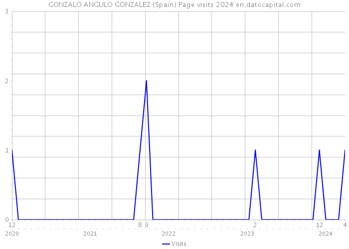 GONZALO ANGULO GONZALEZ (Spain) Page visits 2024 