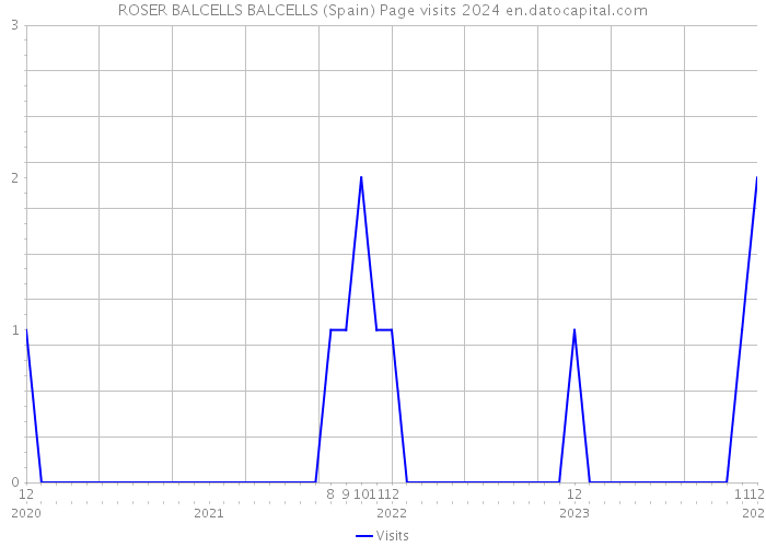 ROSER BALCELLS BALCELLS (Spain) Page visits 2024 
