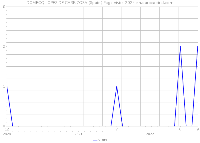 DOMECQ LOPEZ DE CARRIZOSA (Spain) Page visits 2024 