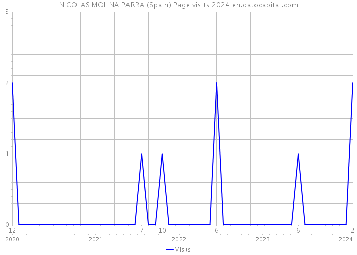 NICOLAS MOLINA PARRA (Spain) Page visits 2024 