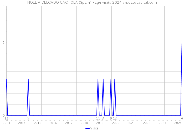 NOELIA DELGADO CACHOLA (Spain) Page visits 2024 