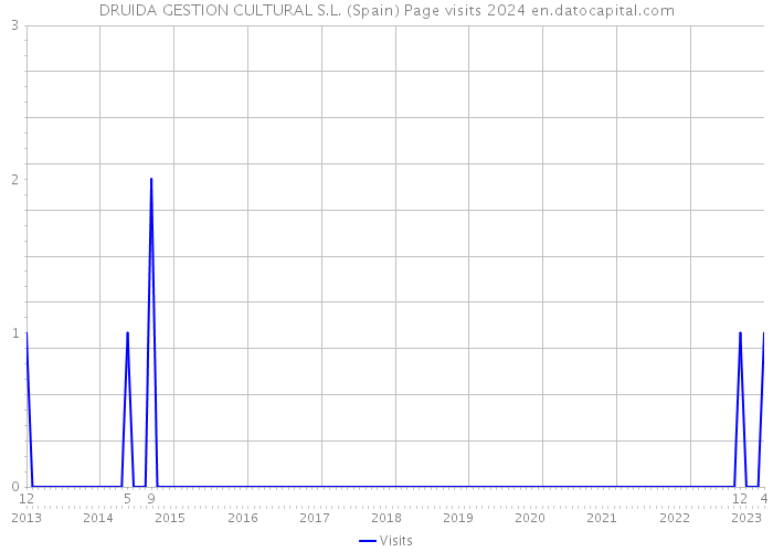 DRUIDA GESTION CULTURAL S.L. (Spain) Page visits 2024 