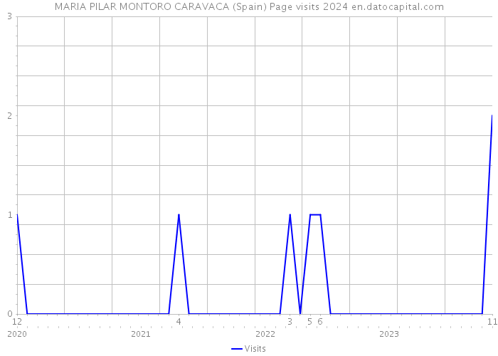 MARIA PILAR MONTORO CARAVACA (Spain) Page visits 2024 