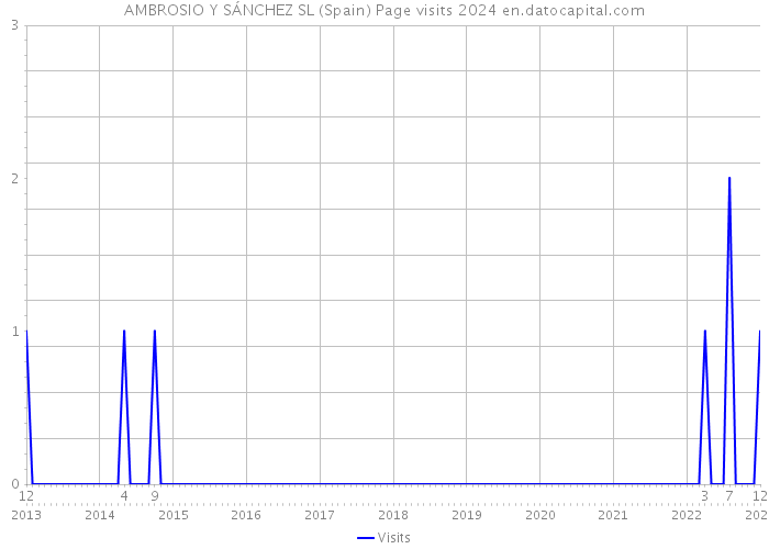 AMBROSIO Y SÁNCHEZ SL (Spain) Page visits 2024 