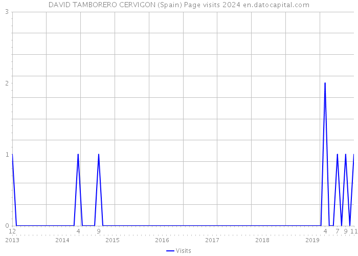DAVID TAMBORERO CERVIGON (Spain) Page visits 2024 