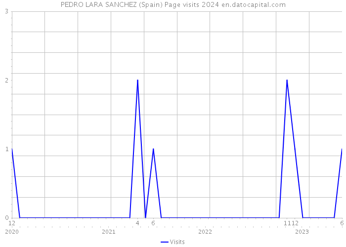 PEDRO LARA SANCHEZ (Spain) Page visits 2024 