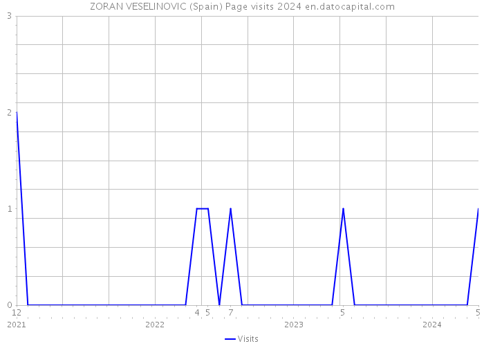 ZORAN VESELINOVIC (Spain) Page visits 2024 
