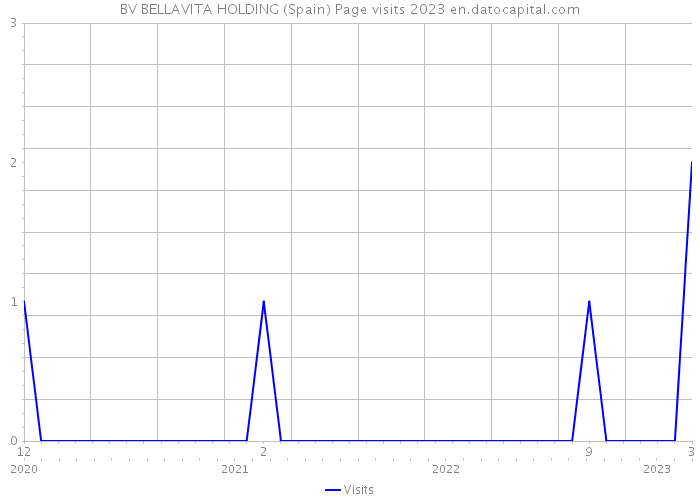 BV BELLAVITA HOLDING (Spain) Page visits 2023 