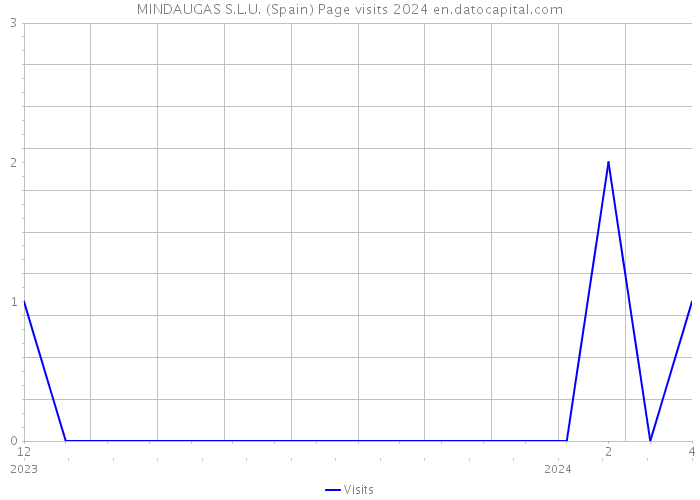 MINDAUGAS S.L.U. (Spain) Page visits 2024 