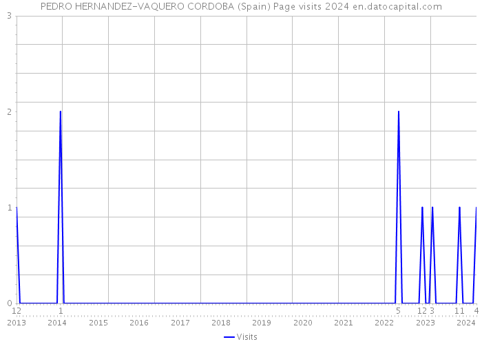 PEDRO HERNANDEZ-VAQUERO CORDOBA (Spain) Page visits 2024 
