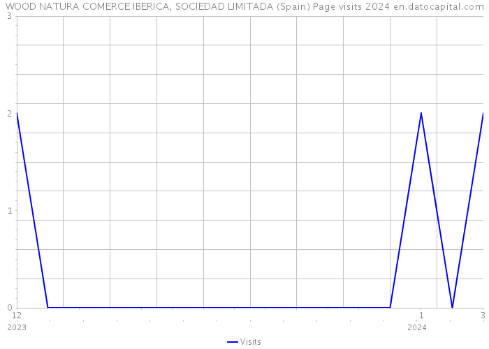 WOOD NATURA COMERCE IBERICA, SOCIEDAD LIMITADA (Spain) Page visits 2024 