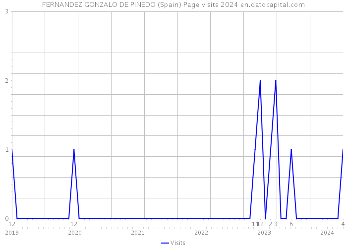 FERNANDEZ GONZALO DE PINEDO (Spain) Page visits 2024 