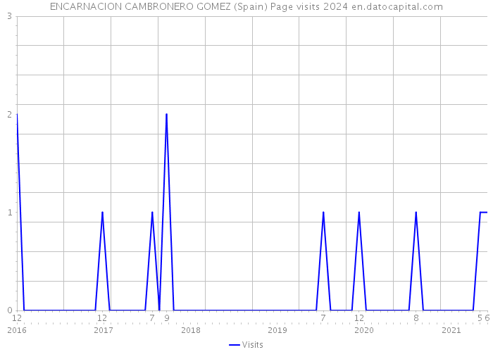 ENCARNACION CAMBRONERO GOMEZ (Spain) Page visits 2024 