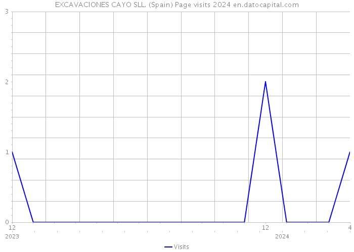EXCAVACIONES CAYO SLL. (Spain) Page visits 2024 
