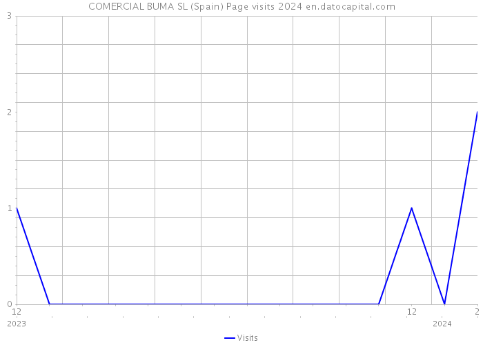 COMERCIAL BUMA SL (Spain) Page visits 2024 