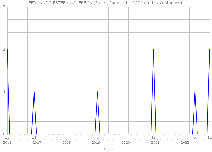 FERNANDO ESTEBAN GUERECA (Spain) Page visits 2024 