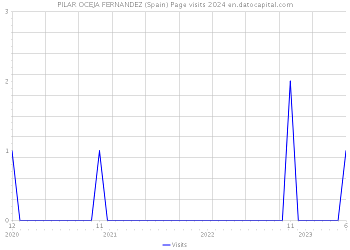 PILAR OCEJA FERNANDEZ (Spain) Page visits 2024 