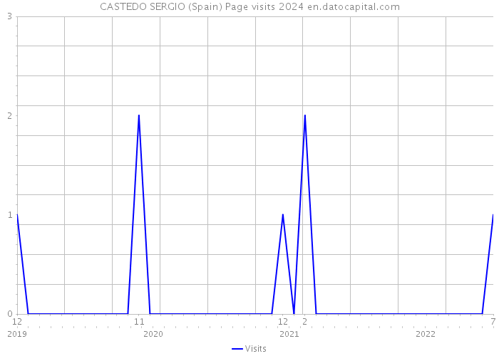 CASTEDO SERGIO (Spain) Page visits 2024 