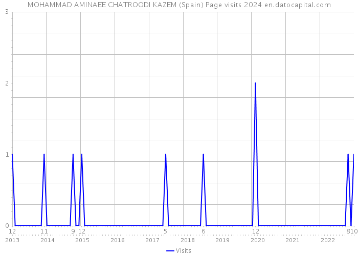 MOHAMMAD AMINAEE CHATROODI KAZEM (Spain) Page visits 2024 