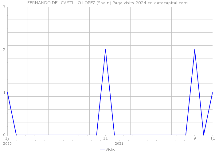 FERNANDO DEL CASTILLO LOPEZ (Spain) Page visits 2024 