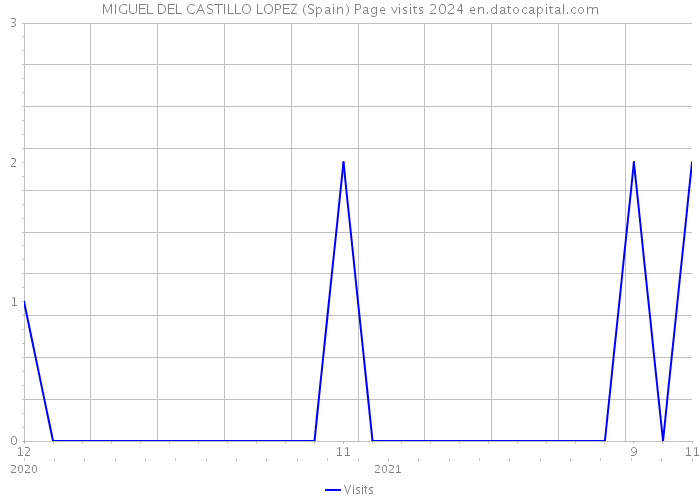 MIGUEL DEL CASTILLO LOPEZ (Spain) Page visits 2024 