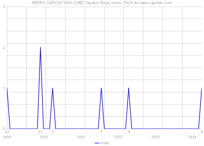 PEDRO GARCIA SAN-CHEZ (Spain) Page visits 2024 