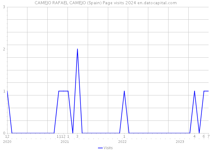 CAMEJO RAFAEL CAMEJO (Spain) Page visits 2024 