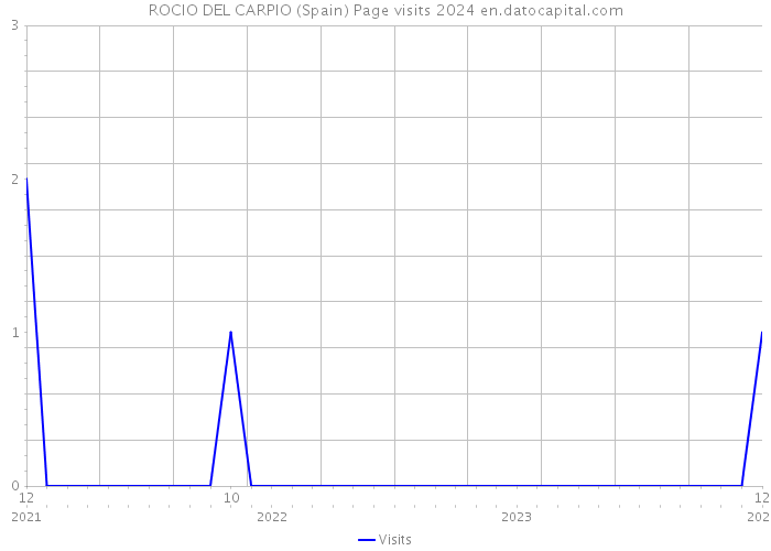 ROCIO DEL CARPIO (Spain) Page visits 2024 