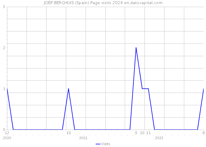 JOEP BERGHUIS (Spain) Page visits 2024 