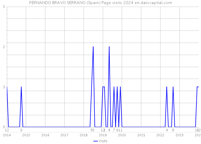 FERNANDO BRAVO SERRANO (Spain) Page visits 2024 