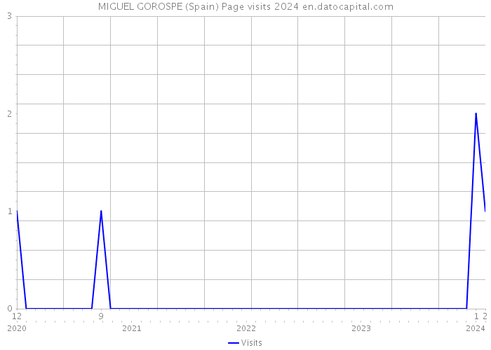 MIGUEL GOROSPE (Spain) Page visits 2024 