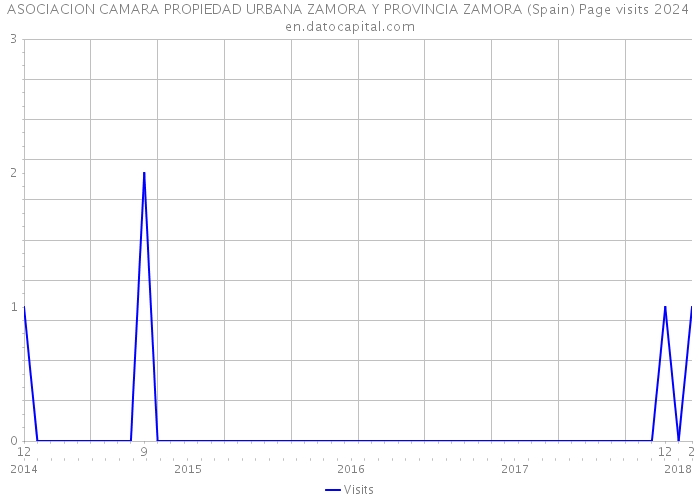 ASOCIACION CAMARA PROPIEDAD URBANA ZAMORA Y PROVINCIA ZAMORA (Spain) Page visits 2024 